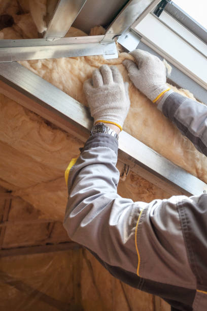 Best Attic Insulation Installation  in Jenkintown, PA