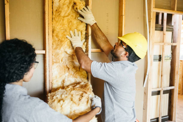 Best Insulation Repair Services  in Jenkintown, PA